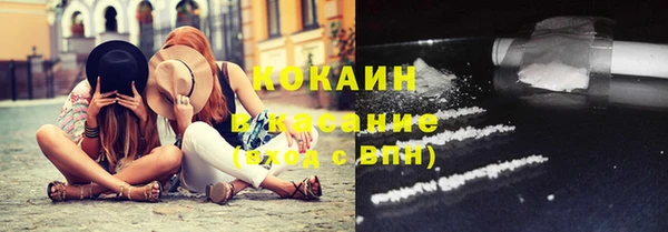 сатива Белоозёрский