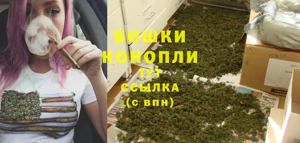 сатива Белоозёрский