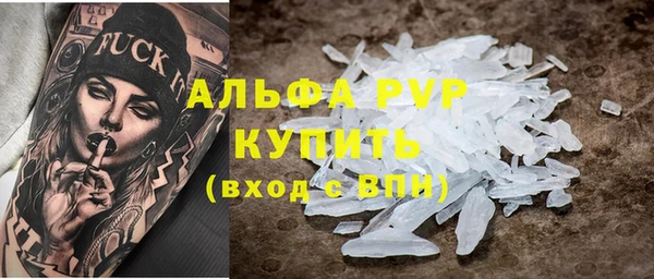 гидра Белокуриха