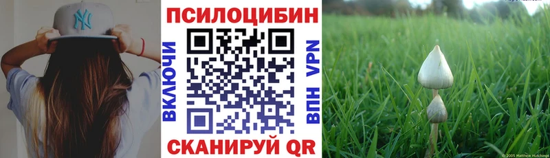 блэк спрут сайт  Ворсма  Псилоцибиновые грибы Magic Shrooms 